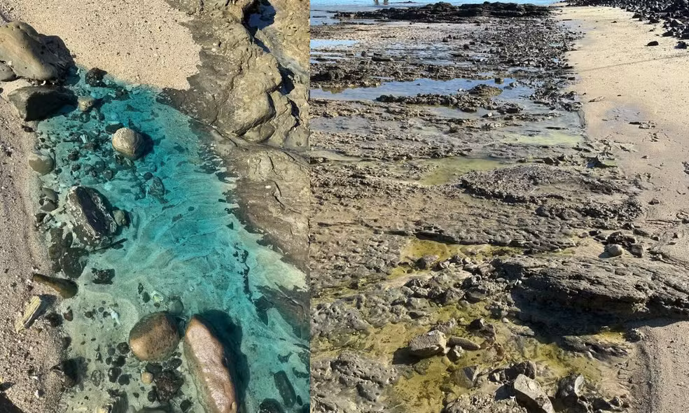 contaminacao-praia-de-sao-tome-de-paripe-2- Salvador decreta emergência ambiental após contaminação química em São Tomé de Paripe